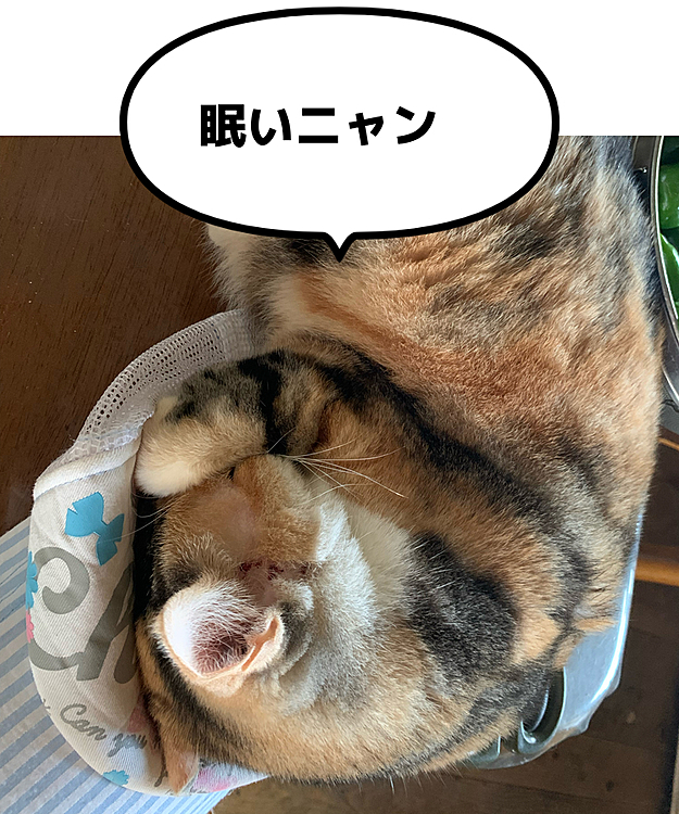 ままっちの投稿