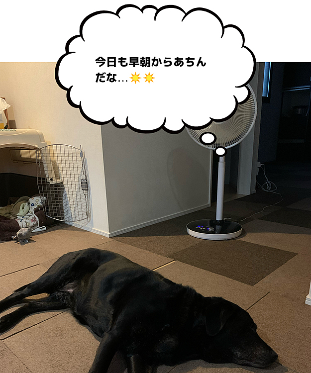 ぶた組ブッチャー班🐽🐽の投稿