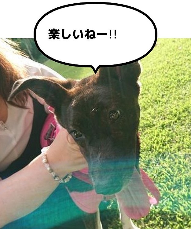 癒しの笑顔(*´ω｀*)