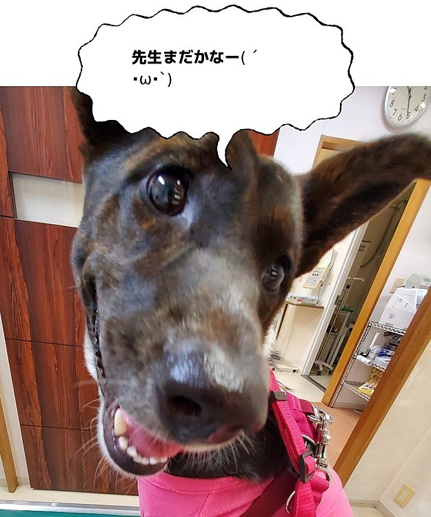ビンゴの投稿