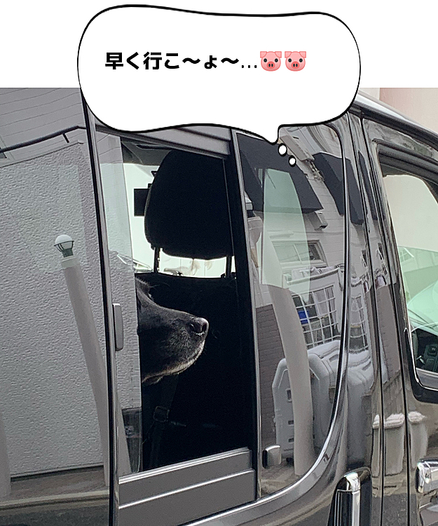 ぶた組ブッチャー班🐽🐽の投稿