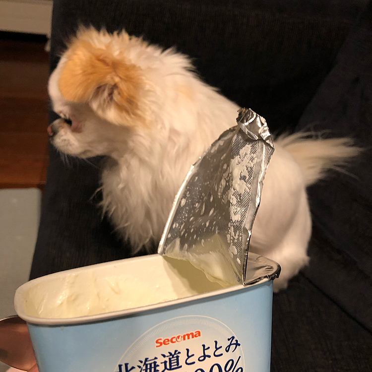 夜はヨーグルト🥣
言ってないのにマテしてます🤣