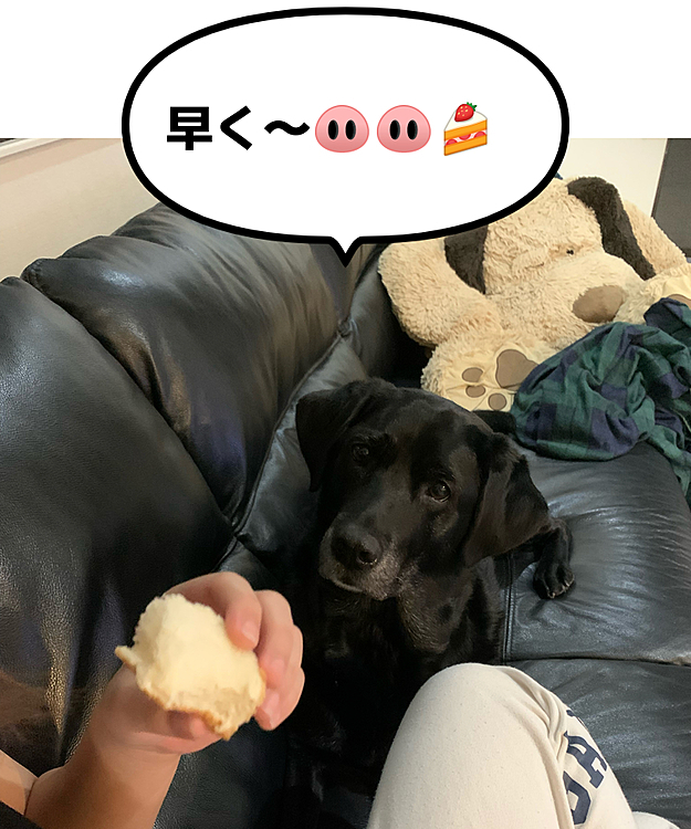 ぶた組ブッチャー班🐽🐽の投稿