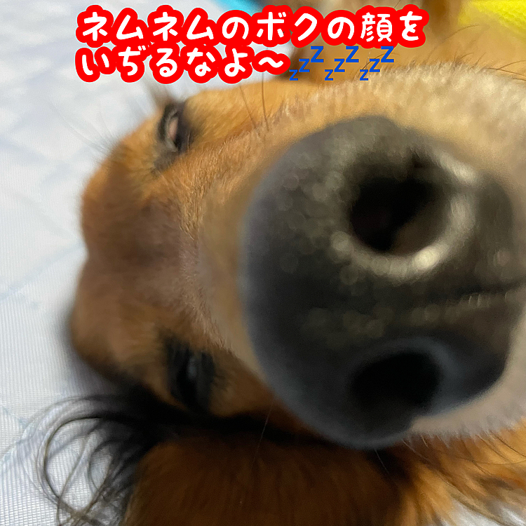 アップが過ぎる🤣🤣🤣