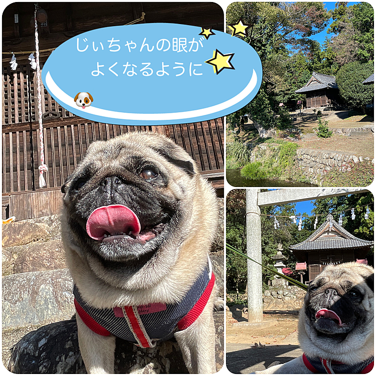 神様にお願いしてきました⛩