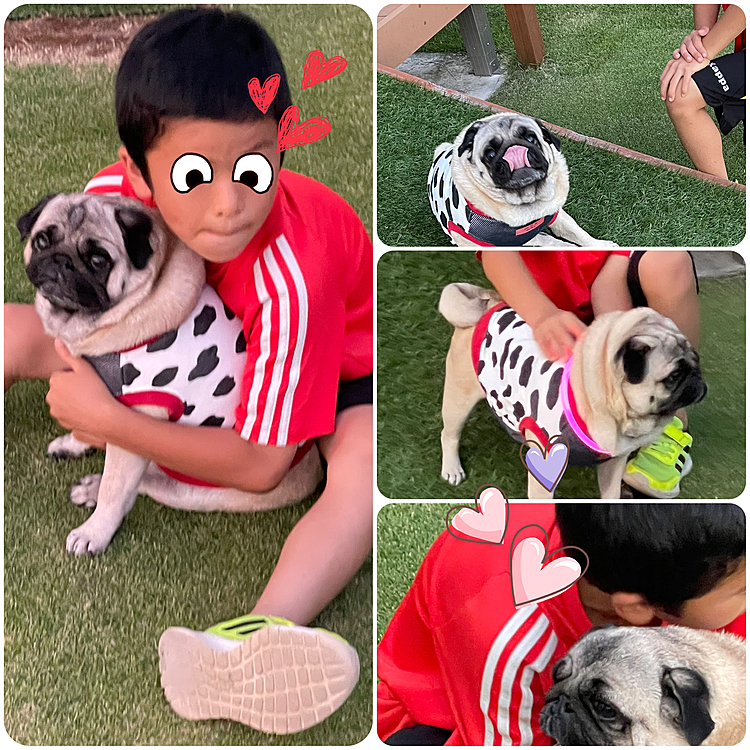 夕方、近所の小学生のお友達が遊びに来てくれました🐶