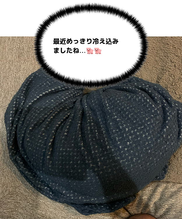 ぶた組ブッチャー班🐽🐽の投稿