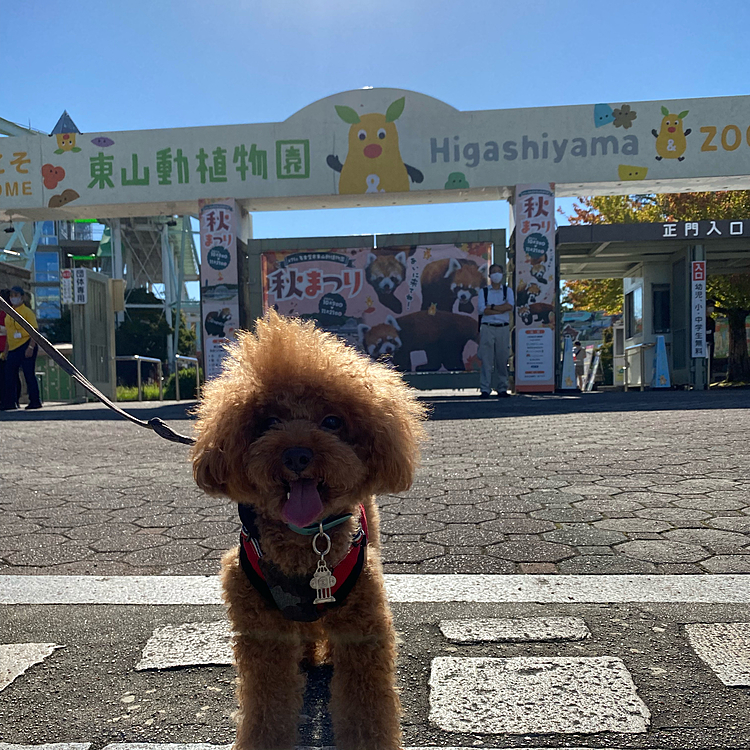 今日も28度予報で相変わらず暑いです🥵