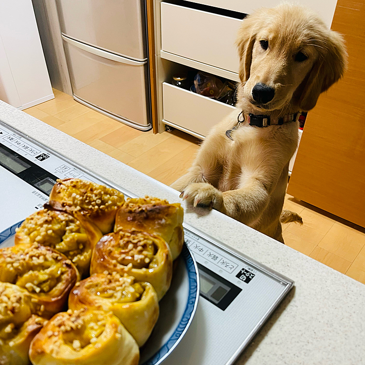 Nai'a:これ私も食べていい？
私:ダメよ！
Nai'a:なんで？
私:人間用です。後で犬用の焼くからね！
Nai'a:本当に？