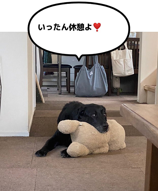 ぶた組ブッチャー班🐽🐽の投稿