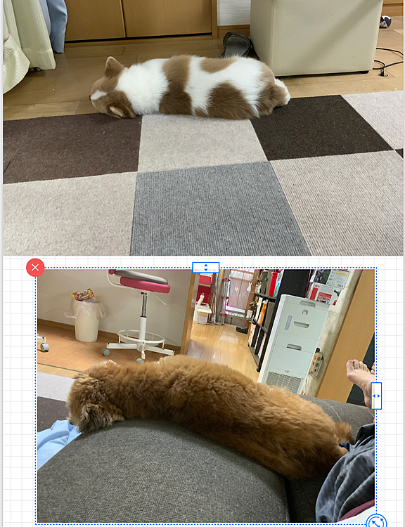 おんなじかっこしてお昼寝😁