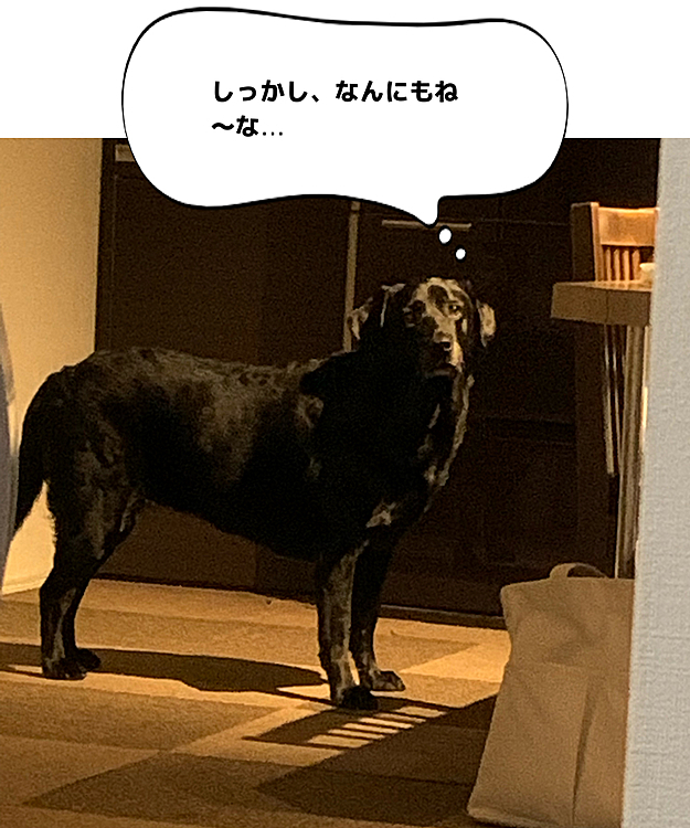 ぶた組ブッチャー班🐽🐽の投稿