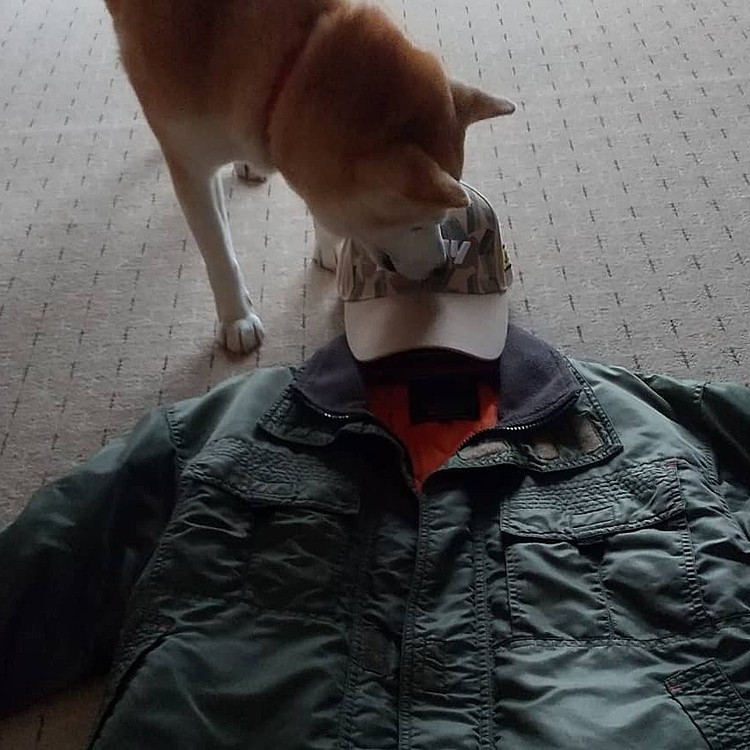 愛犬ハナのファッションチェック😃ピーコさんより厳しい😱