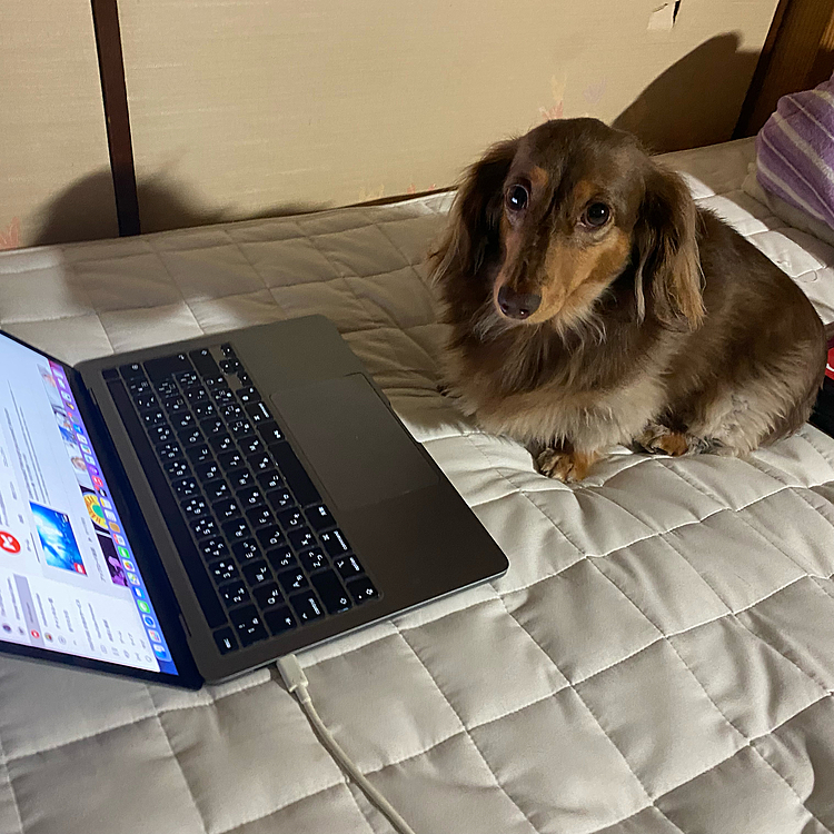 ノマドポムです。
