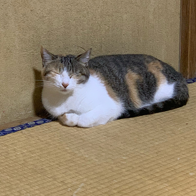 ままっちの投稿
