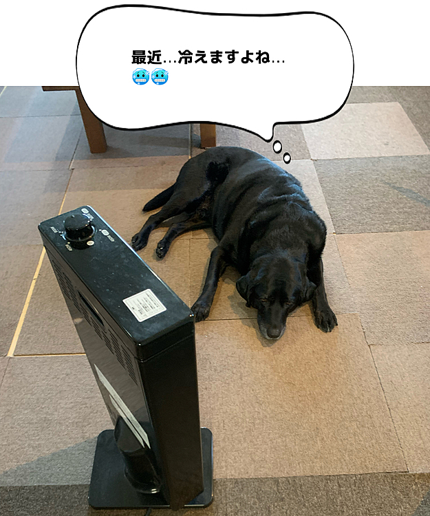 ぶた組ブッチャー班🐽🐽の投稿