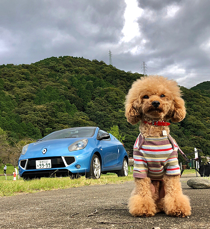 2021-10-20

🐾 ウイークデーは快適
飼主、出張から早く帰って来れたので、
チョット河川敷公園にコンビニでおやつ買って行きました。
