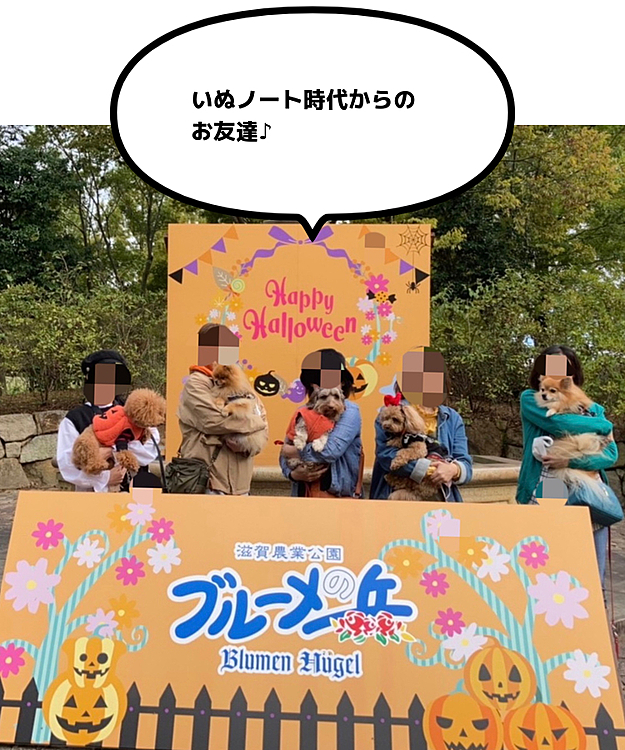10月17日（日）
1週間以上前からずっと雨予報だったのに朝には止み晴れました☀️

凛ちゃん、はなちゃん、ルルちゃん、茶々丸くんと滋賀県にあるブルーメの丘で集合して秋の遠足楽しみました🍁
女の子チームと凛ちゃんはお揃いの魔女ワンピ🧙‍♀️
ハッピーと茶々丸くんはカボチャの衣装です🎃

3本の動画お付き合い下さい💗