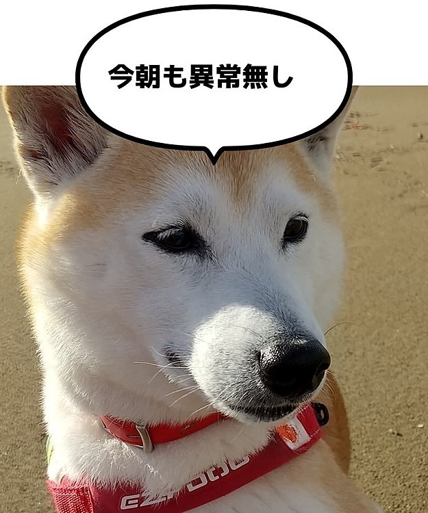 サカモトハナの投稿