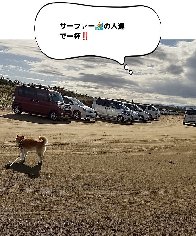 おはよー👋😃☀️ございますハナですo(^o^)oワン岸警備出動😃今朝も異常無し😃
