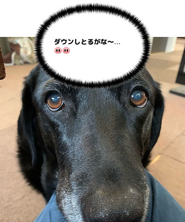 ぶた組ブッチャー班🐽🐽の投稿