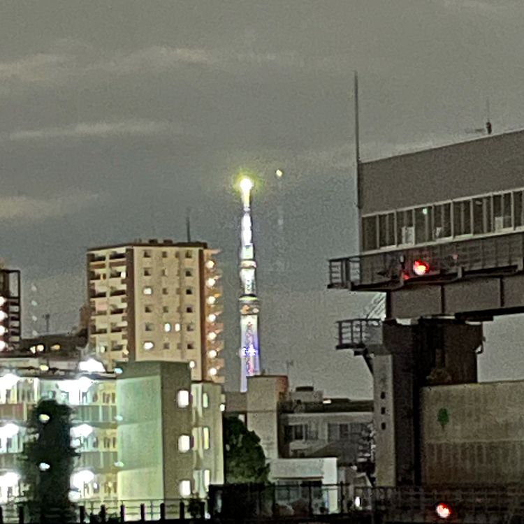 本日は夜散歩はコラボしてるツリーを鑑賞しながらちょっと東京まで歩いて来ました😊
心の底から誰？って思いながら観てました。遠いから色の判別が微妙でしたね😅