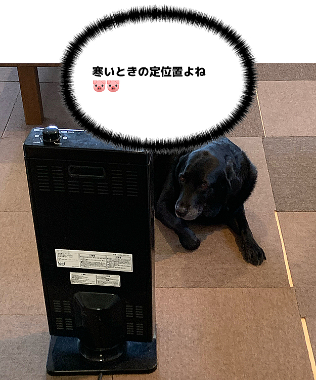 ぶた組ブッチャー班🐽🐽の投稿