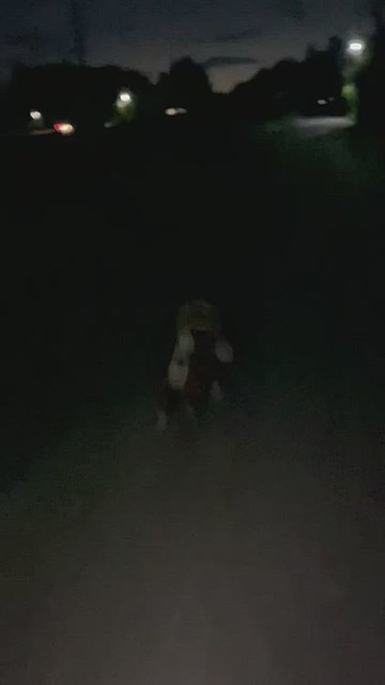 秋の虫の声の中、ししまる快腸です💩