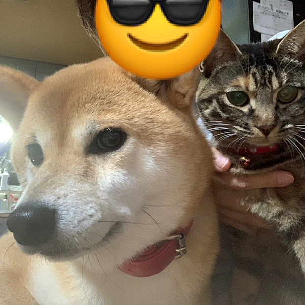 可愛い〜(*ˊᵕˋ*)੭ ੈ❤︎
