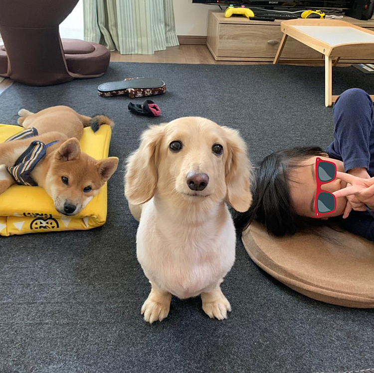 アプリ始めてみました(๑⃙⃘ˊ꒳​ˋ๑⃙⃘)
これからよろしくお願いします🥰