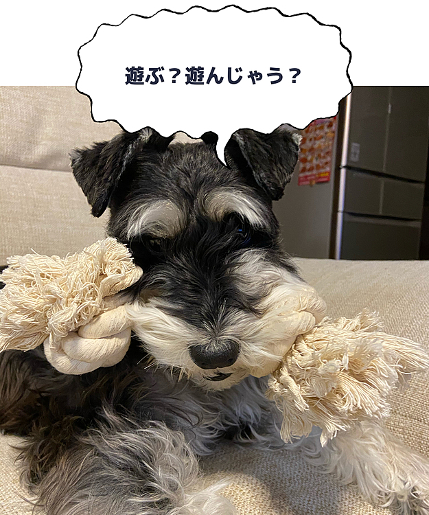 歯の健康を守りましょう❗️☺️
