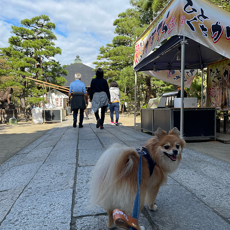 こういう景色、なんか好きです😆