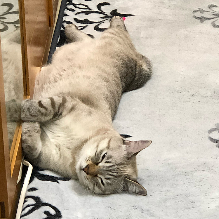 無邪気な寝顔☺️