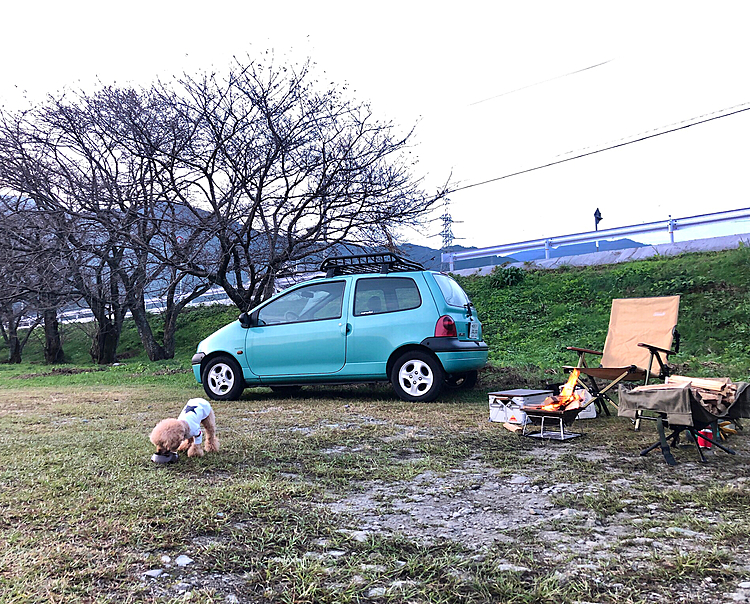 定刻AM 6:00 河川敷で朝食。
今日も同じドライフードを必死で食ってます😅