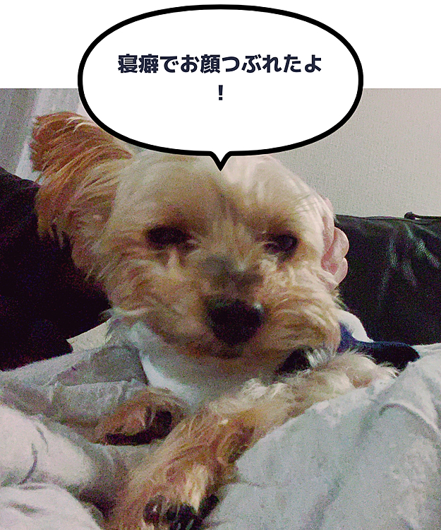 よき子の投稿