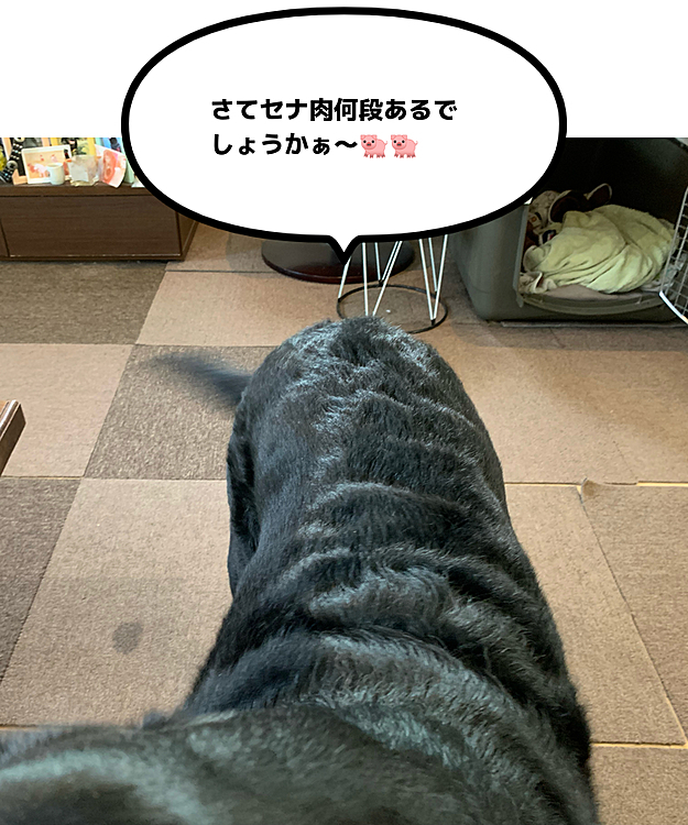 ぶた組ブッチャー班🐽🐽の投稿