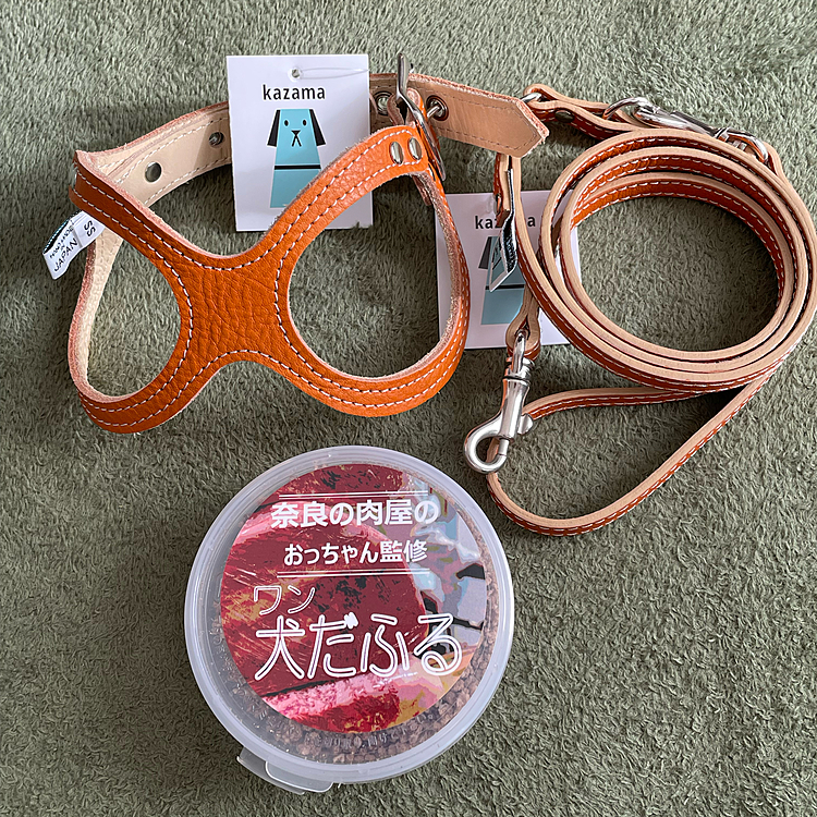 ハーネスとリード、フリーズドライの牛タンをゲットしました😊
ハーネスとリードは買う予定じゃなかったけどパパのすすめで買いました😅
牛タンもお店の方のチワワちゃんもご飯を食べなくてこれを混ぜると食べるんですなんて聞いたら買ってしまいました😅