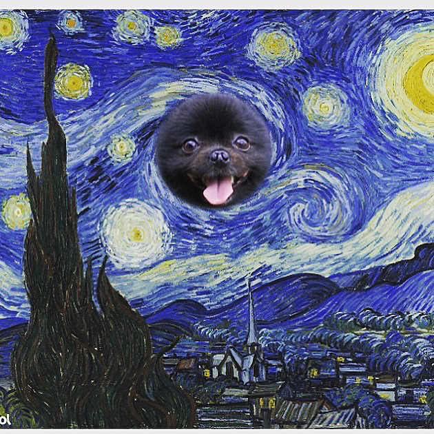 ひょっこりでも何でもないハメ画像