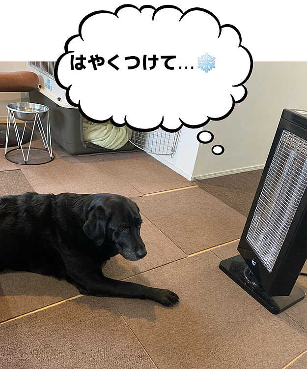 ぶた組ブッチャー班🐽🐽の投稿