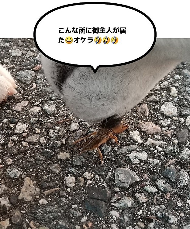 家を出ると😃