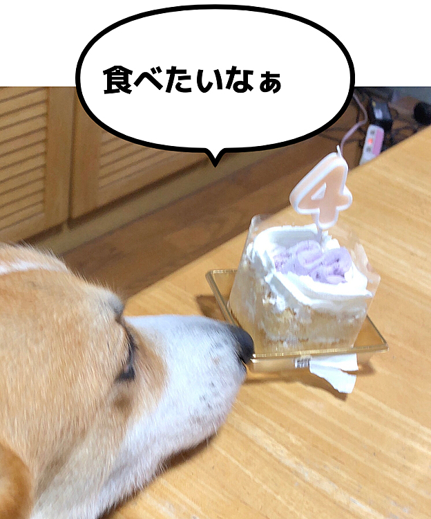 いい匂い😃まだかな💦