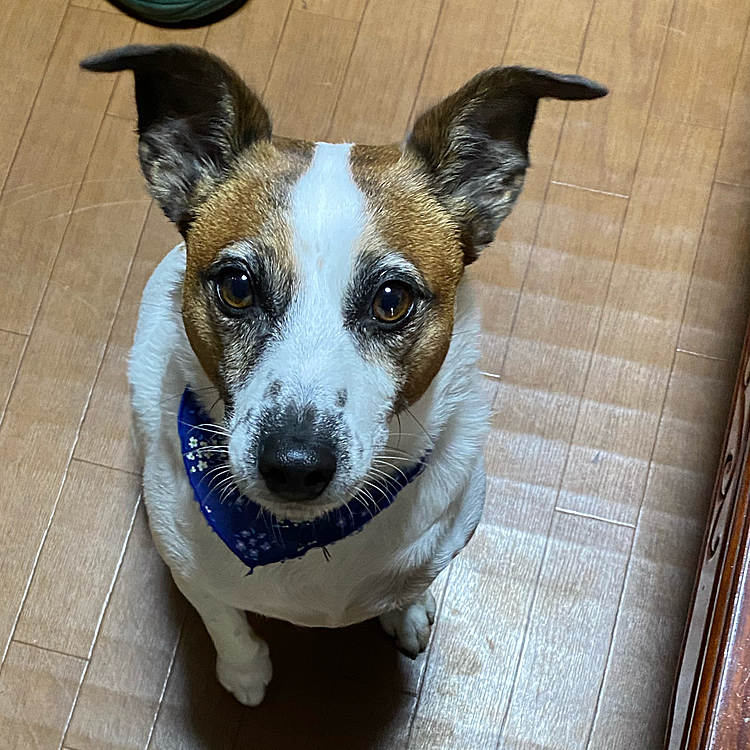お出かけするの❓