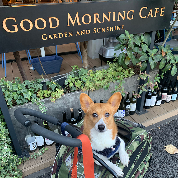 カフェでガッツリモーニングして、朝活終了☕️
ぼちぼち投稿になりますが、またよろしくお願いします🤲