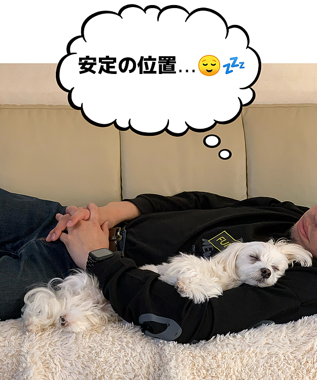 パパとうたた寝してる蘭丸さん。