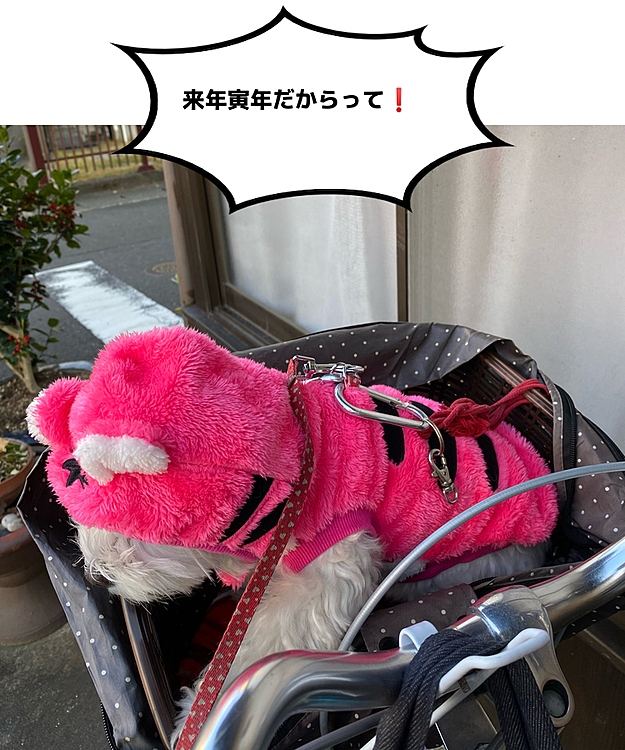 ココの母の投稿