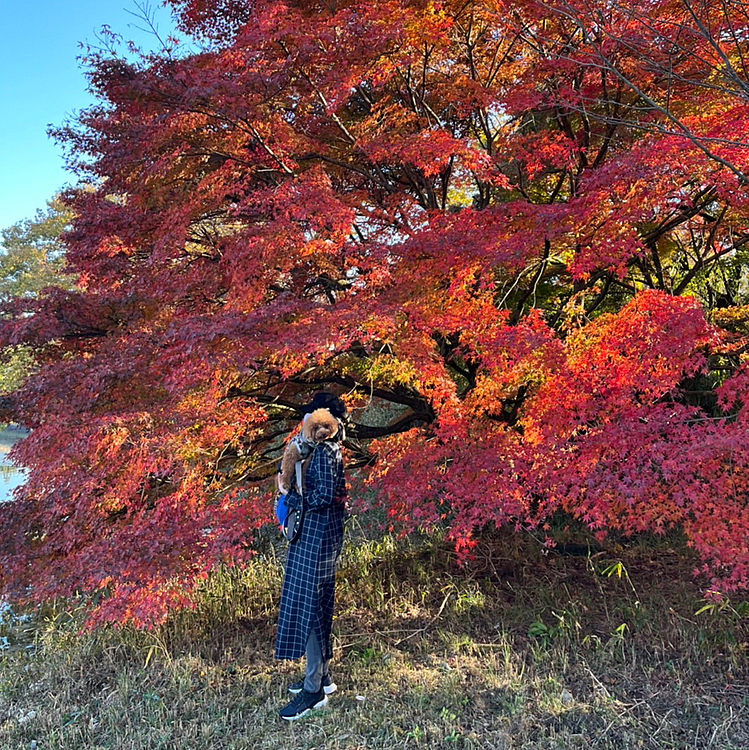 釣り人やキャンパーが少しいるだけでかなりの穴場でした✨