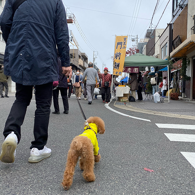 今日は毎月21日に開催される近所のお寺の縁日へお散歩🐾