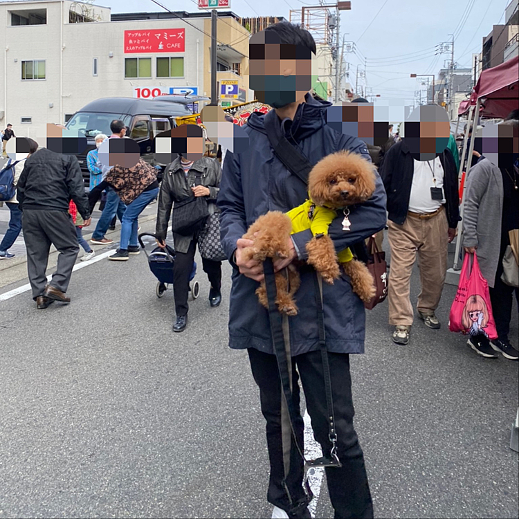 日曜だし暖かいので結構な人で賑わっていました😉