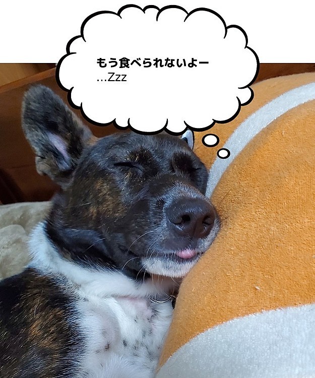 舌チロ可愛い♡