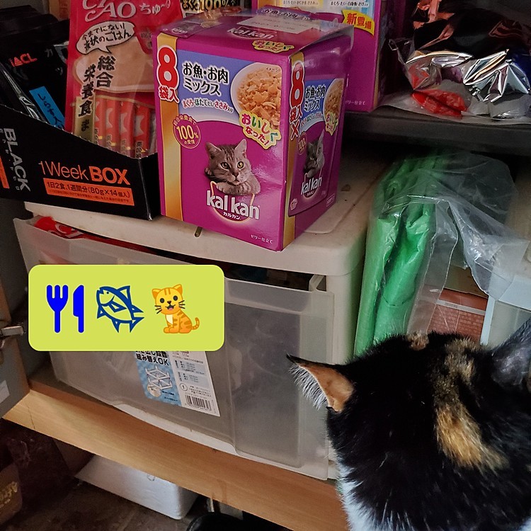 どれ食べる？
😽｢…選べん💧｣
